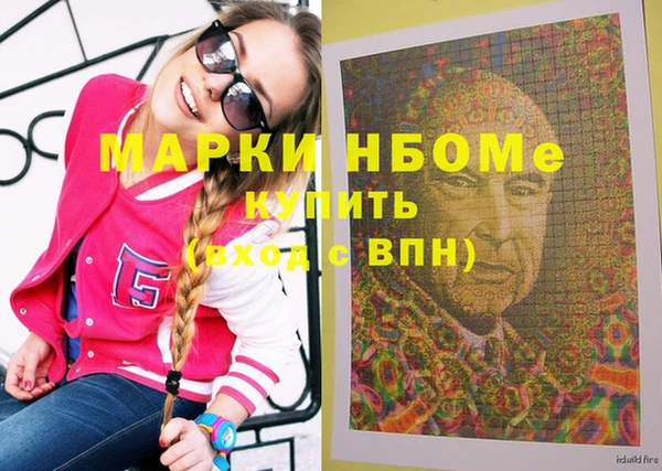СК Снежногорск